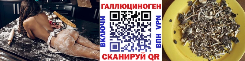 Галлюциногенные грибы MAGIC MUSHROOMS  маркетплейс как зайти  Галич  блэк спрут маркетплейс 